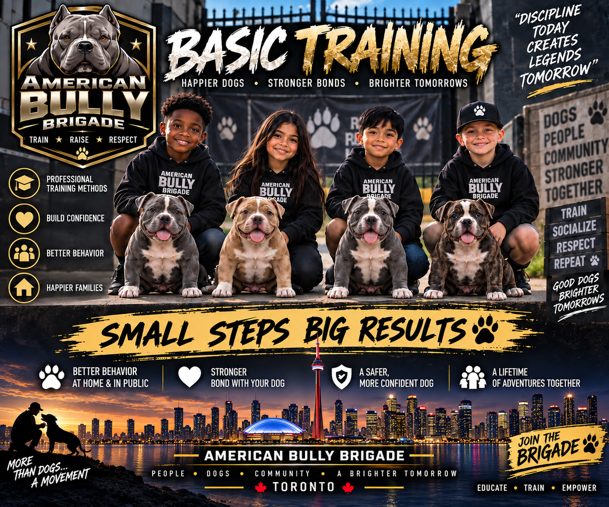 Basic/Intermediate Training (6 months and up)