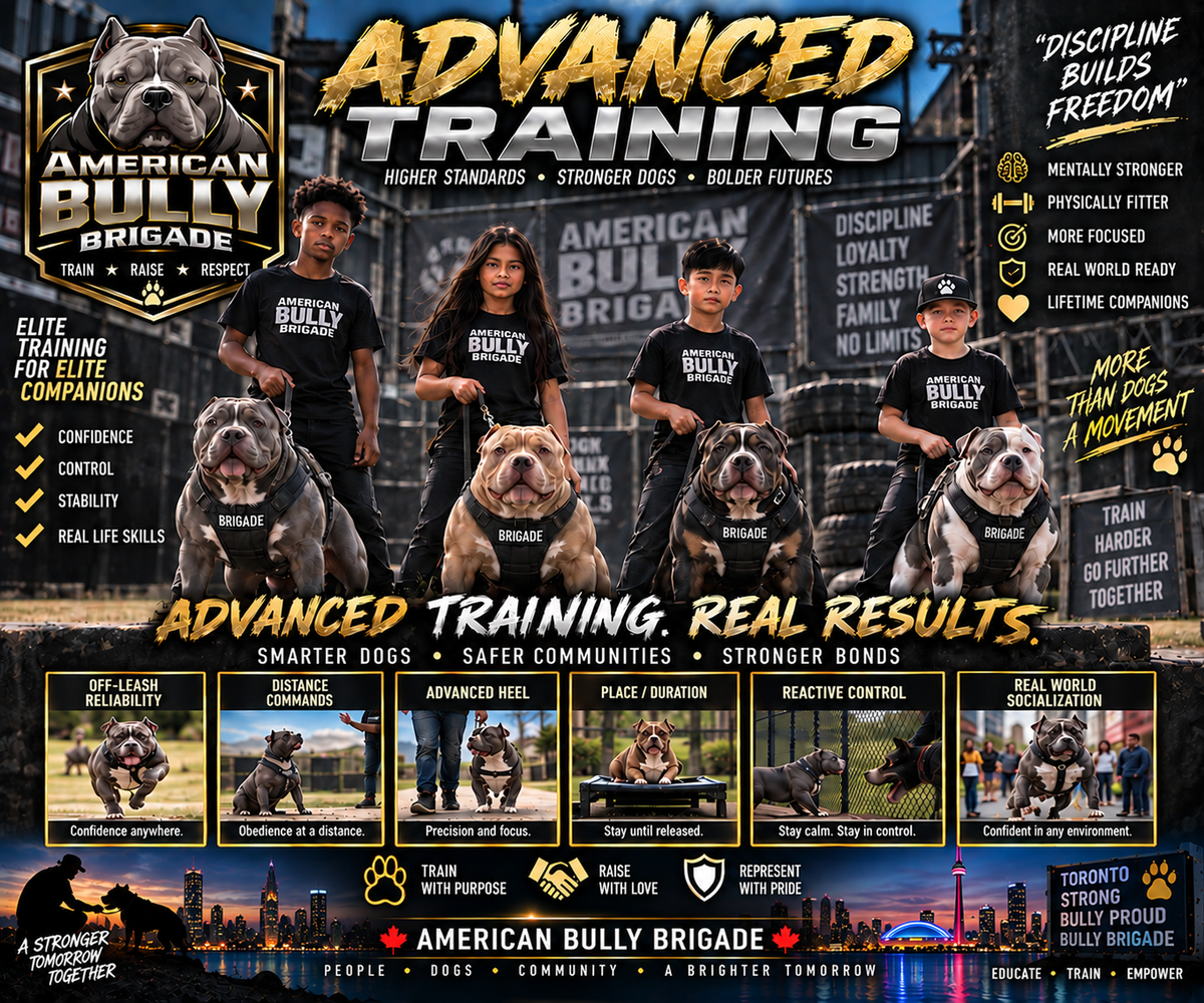 Advance Training