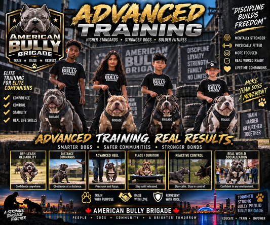 Advance Training