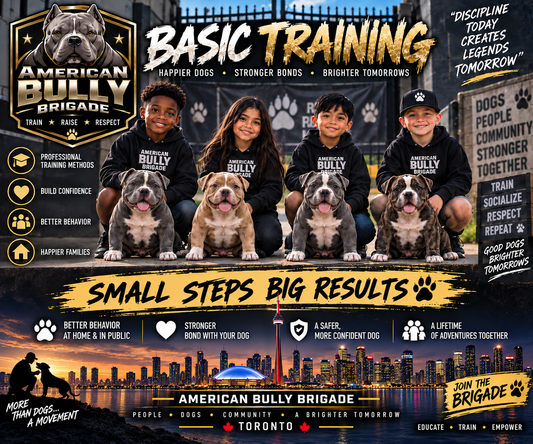 Basic/Intermediate Training (6 months and up)