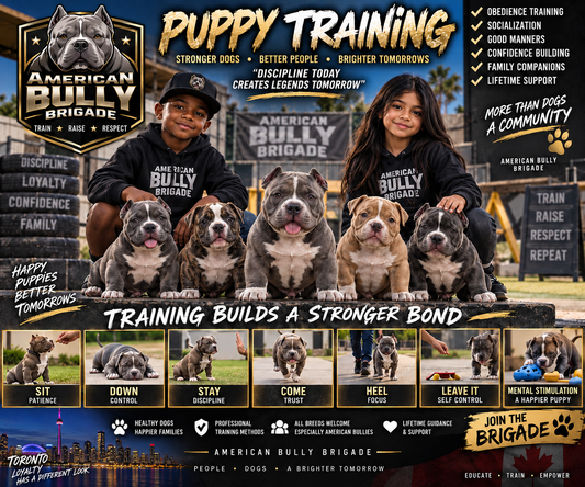 Puppy Training (10 weeks-5 Months old)